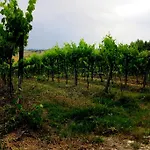 Agriturismo Colomboni *