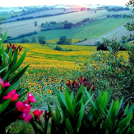 Agriturismo Colomboni Farm stay *