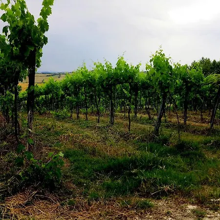 Agriturismo Colomboni *